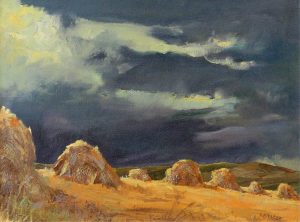 Armand Frederick Vallee: STOOK FIELD, MILLARVILLE