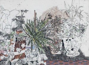 Susan Ford: THE PLANT CORNER