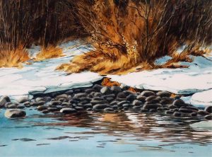 Steve Kiss: ICE SHORE