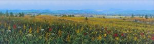 Randolph T. Parker: DANCE OF THE GRASSES