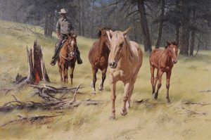 Harold Lloyd Lyon: SPRING COLT
