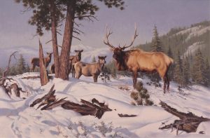 Harold Lloyd Lyon: WINTER ELK