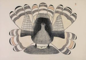 Kakulu Sagiatuk: DISTURBED WHILE NESTING
