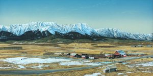 William H. (Bill) Webb: EARLY SPRING WILLOW VALLEY