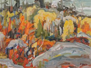 Robert Theodore Kost: BIRD RIVER, THE CANADIAN SHIELD