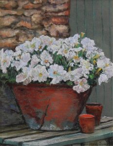 Lucienne Boucher Zegray: PETUNIAS