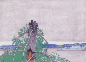 Walter Joseph Phillips: THE STUMP
