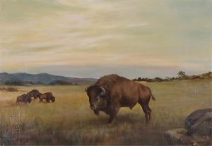Father Henry Metzger: BISON GRAZING