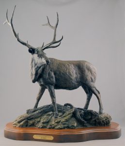 Joe Halko: WILDERNESS MONARCH