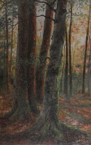 Thomas Mower Martin: THE UMBER FOREST