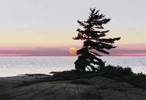 Kenneth Edison (Ken) Danby: THE SUMMER SUN