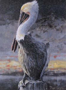 Page Ough: BROWN PELICAN