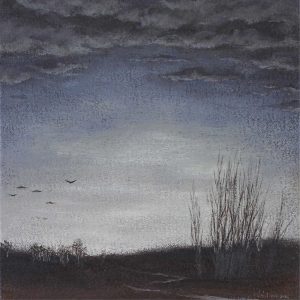 Shannon Norberg (Williamson): APPROACHING WITH CAUTION