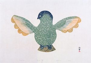 Alashua Aningmiuq: SUMMER OWL