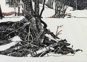 Walter Drohan: WINTER & DOGWOOD