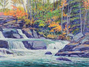 William (Bill) Duma: COLOUR ALONG THE STREAM