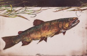 Jack Lee Cowin: BROWN (WESTERN TROUT SERIES)