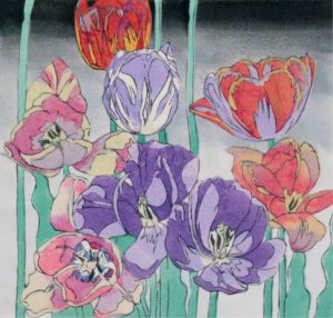 Mary Evelyn Wrinch: DARWIN TULIPS