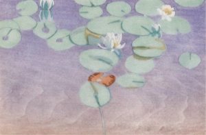 Walter Joseph Phillips: WATER LILIES