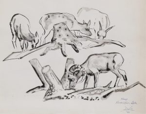 Illingworth Holey (Buck) Kerr: SHEEP, VERMILLION LAKE