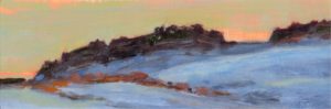 Peter von Tiesenhausen: UNTITLED LANDSCAPE (P017)