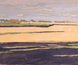 Robert F. M. McInnis: WET FIELDS (N. OF EDMONTON)