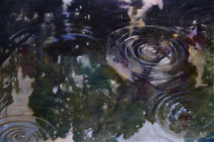 Jane Everett: SINFONIA IV