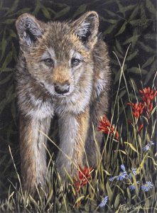 Page Ough: MILES TO GO, WOLF CUB
