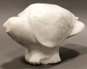 George Pratt: SNOWY OWL