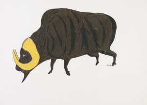 William Noah: MUSKOX