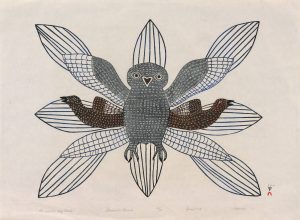 Kakulu Saggiaktok (Sagiatuk): THE SMALL GREY OWL