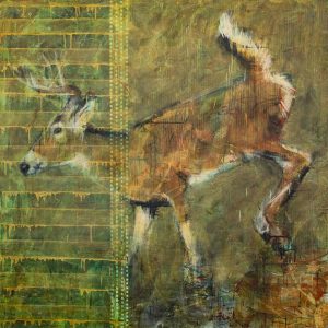 Les Thomas: WHITETAIL (ANIMAL PAINTING #312)