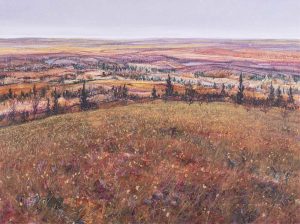 Randolph T. Parker: FOOTHILLS VISTA