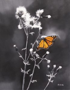 Andrew Kiss: MONARCH