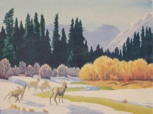 Margaret Dorothy Shelton: MASSIVE RANGE