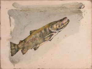 Jack Lee Cowin: RISING BROWN