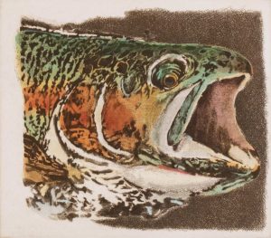 Jack Lee Cowin: ELK HAIR CADDIS