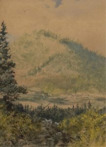 Marmaduke Matthews: FALL HILLSIDE
