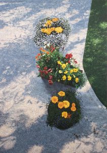 Robert Lemay: MARIGOLDS IN SUMMER