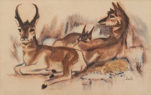 Illingworth Holey (Buck) Kerr: PRONGHORNS