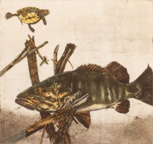 Jack Lee Cowin: RED EARED SLIDER