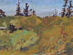 Robert F. M. McInnis: HILL SIDE OF HORNBY I.