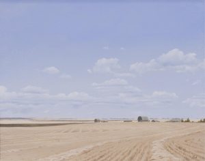 Ted Raftery: HARVEST PATTERN