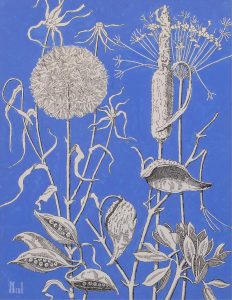 James McLaren (Jim) Nicoll: SEED PODS