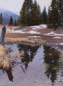 Rick Berg: REFLECTIONS