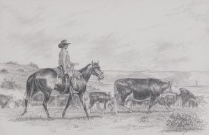 Jim Hauser: RANCHER DRIVING HIS HERD