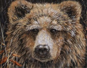 Page Ough: QUIZZICAL GRIZZLY
