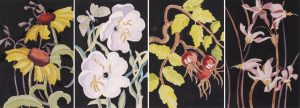 Annora Brown (4): CANADIAN WILDFLOWERS MINIATURE SERIES: GAILLARDIA (BLANKET FLOWER) / EVENING PRIMROSE / ROSEHIPS / SHOOTING STAR