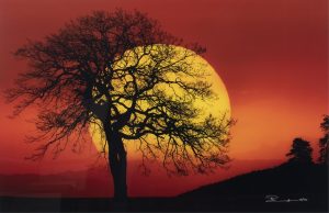 Peter Lik: IN SEARCH OF THE SUN