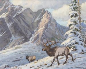 Matt Lindstrom: ELK, KANANASKIS